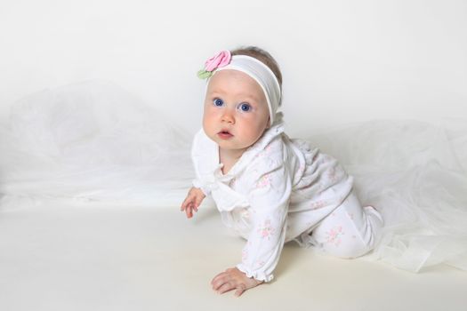 Beautiful small kid girl in studio