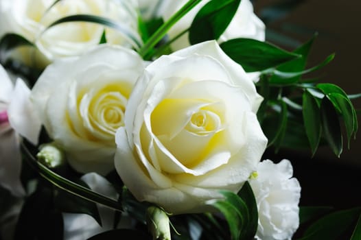 Brides white roses closeup