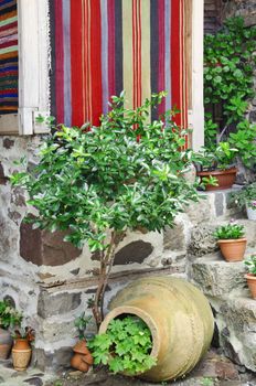Gardening in the Yard: Handmade Carpet, Pot and Greenery