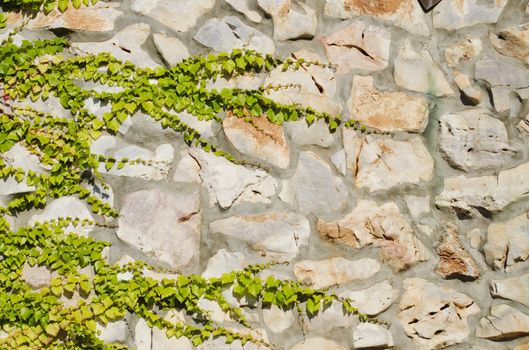 Photo of the Natural Stone Wall With Greenery