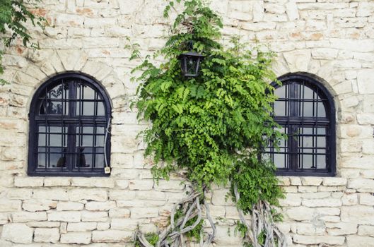 Old Stone Wall With Windows and Greenery