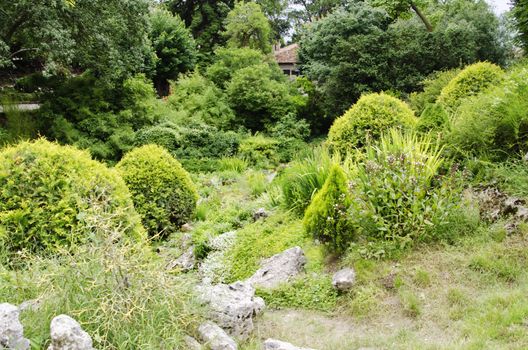 Gardening and Landscaping With Decorative Trees and Plants 