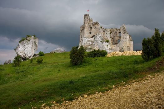 Castle ruins and a meadow