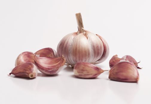 A garlic bulb and a individual cloves isolated on white background