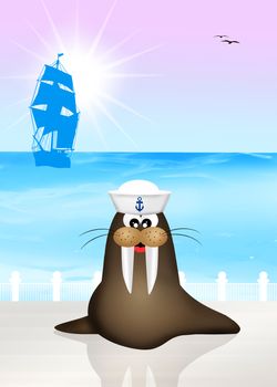 Sea lion marine