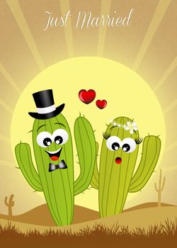 Cactus couple in love