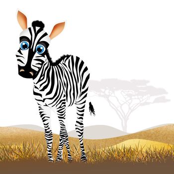 illustration of zebra in African landscape