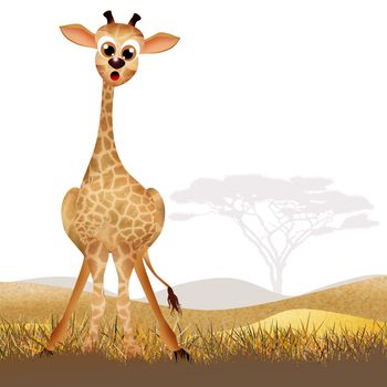 illustration of giraffe cartoon