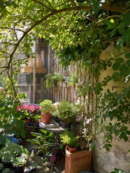 Typical wall planter pots  with flowers and plants hanged on a wall Tuscany Italy style