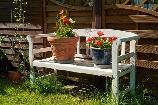 Garden bench with beautiful blooming summer flowers                               