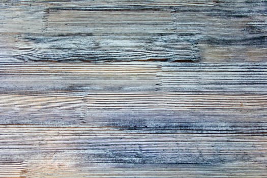 Photo of light grey texture stem tree