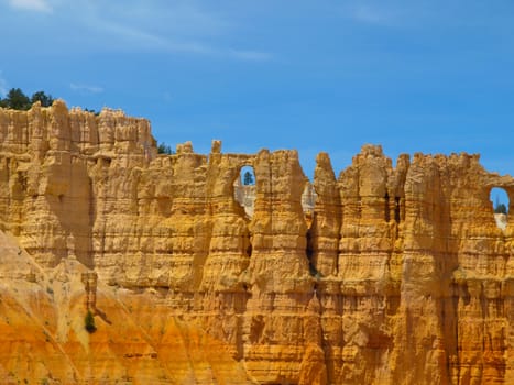 Sandstone columns of Bryce Canyon (Utah, USA)