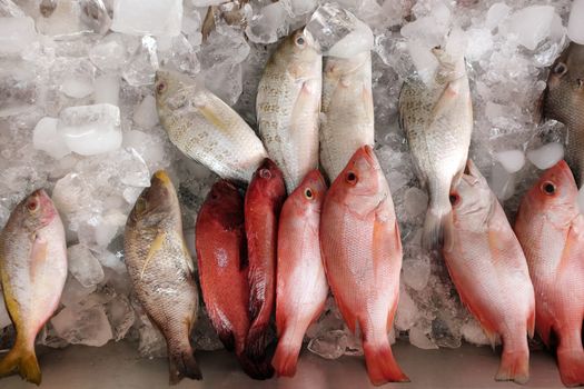 Fresh raw fish displayed on ice at supermarket
