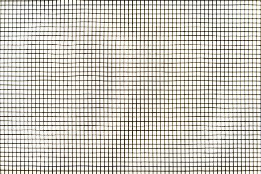 Mosquito wire screen texture on the window