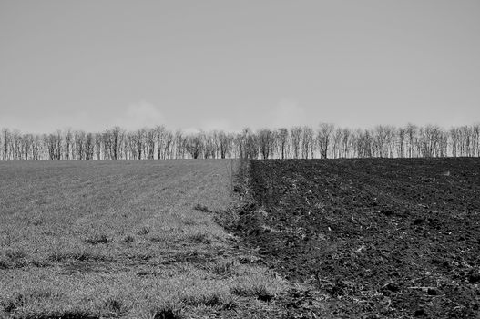 Industrial agriculture on plateau of Kaliakra in Bulgaria