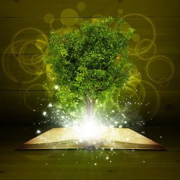 Open book with magical green tree and rays of light on dark background