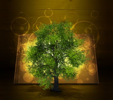 Open book with magical green tree and rays of light on dark background