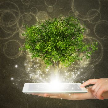 Hand hold tablet pc with magical green tree and rays of light on dark background