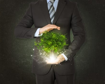 Businessmen hold magical green tree and rays of light on dark background