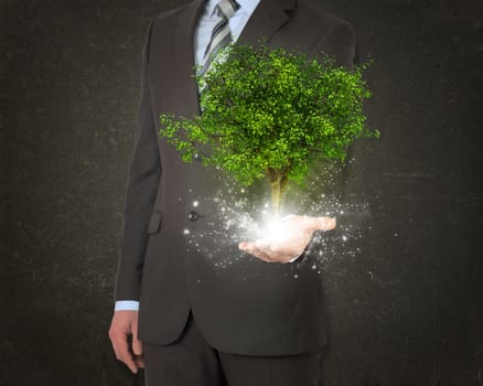 Businessmen hold magical green tree and rays of light on dark background