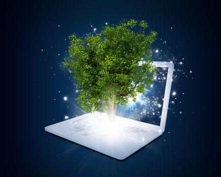 Laptop with magical green tree and rays of light on dark background