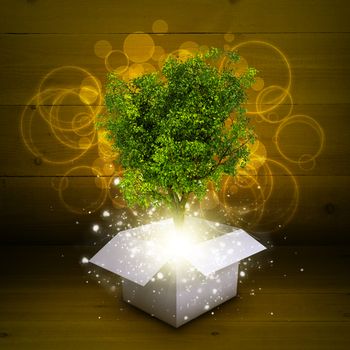 White cardboard box with magical green tree and rays of light on dark background