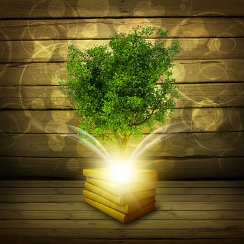 Books with magical green tree and rays of light on dark background