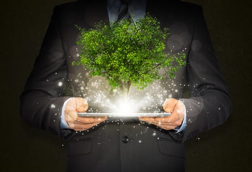 Businessmen hold magical green tree and rays of light on dark background