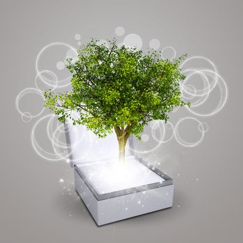 Jewelry box with magical green tree and rays of light on dark background