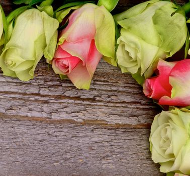 Corner of Five Pink And Yellow-Green Roses closeup on Rustic Wooden background