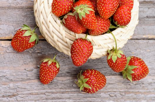 Fresh Ripe Forest Strawberries in Wicker Bowl Cross Section on Rustic Wooden background. Top View