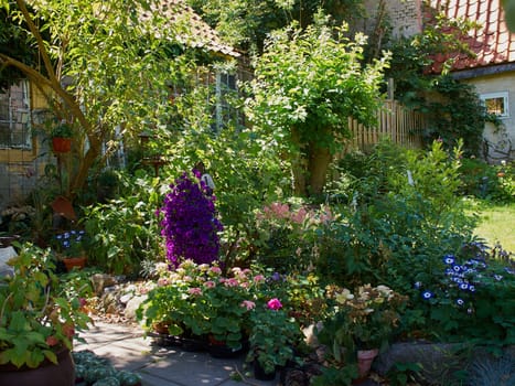 Attractive Blooming Country Style English UK Garden