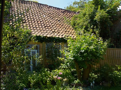Attractive Blooming Country Style English UK Garden