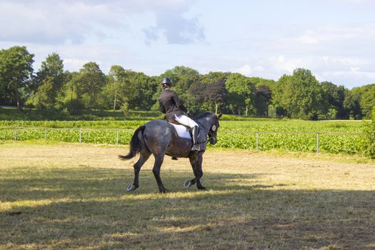 young girl riding a horse outdoors 