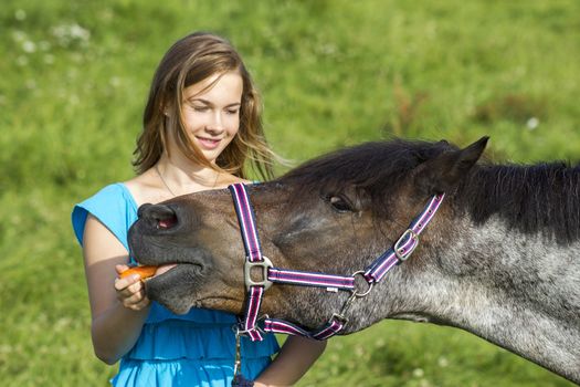 young girl giving a carrot to her horse