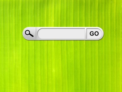 Search bar in browser. Backlit fresh green palm leaf on background