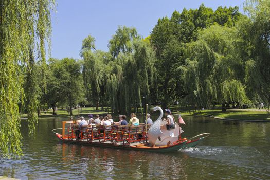 Boston Public Garden and sightseeing tourist on the famous Swan boats in Central Boston, Massachusetts, USA.