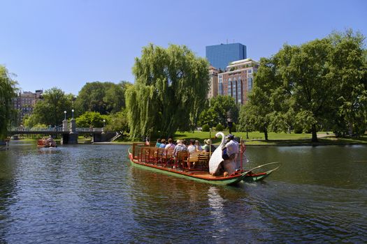 Boston Public Garden and sightseeing tourist on the famous Swan boats in Central Boston, Massachusetts, USA.