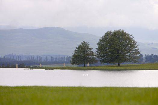 Trees and dam a peaceful scene in Drakensberg, South Africa