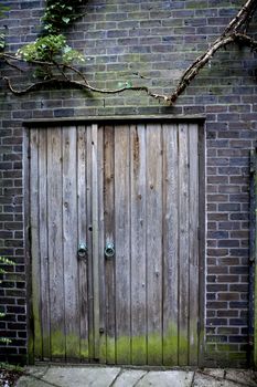 Old Weathered Door on a derelict outbuilding