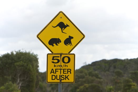 Australian wildlife road signs, kangaroo, womat and koala bear