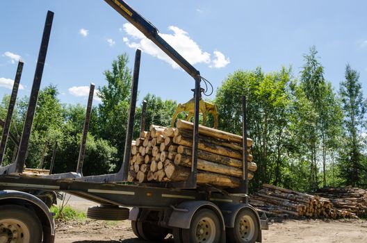 hydraulic crane loading cut forest logs in pile on trailer in summer time