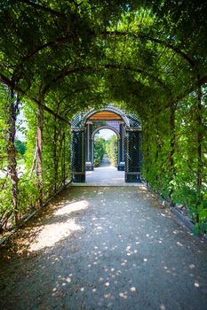 Walkway under a green natural tunnel