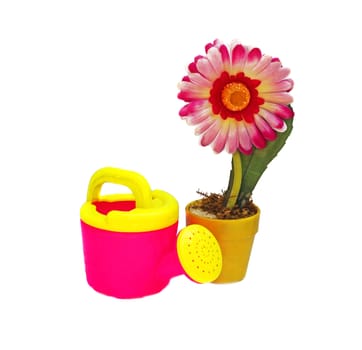 Pink Artificial flower in yellow pot and a children's watering can