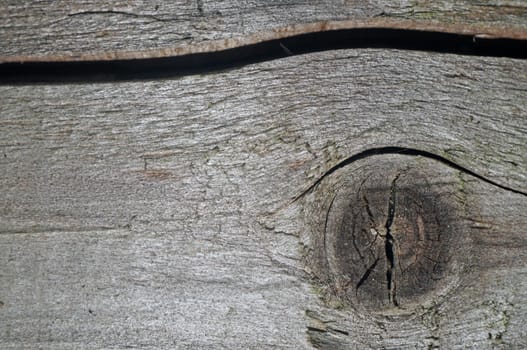 Texture of the old gray boards with knots and the slit                               