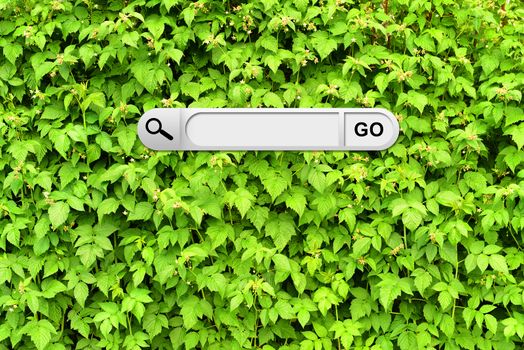 Search bar in browser. Wall of green branches raspberry on background