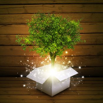 White cardboard box with magical green tree and rays of light on dark background