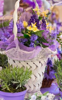 Close up of lavender flowers in the fiorist shop