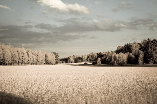 Fields in mid-eastern Sweden