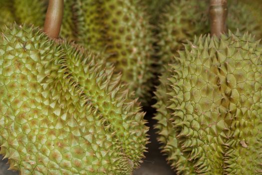 Durian